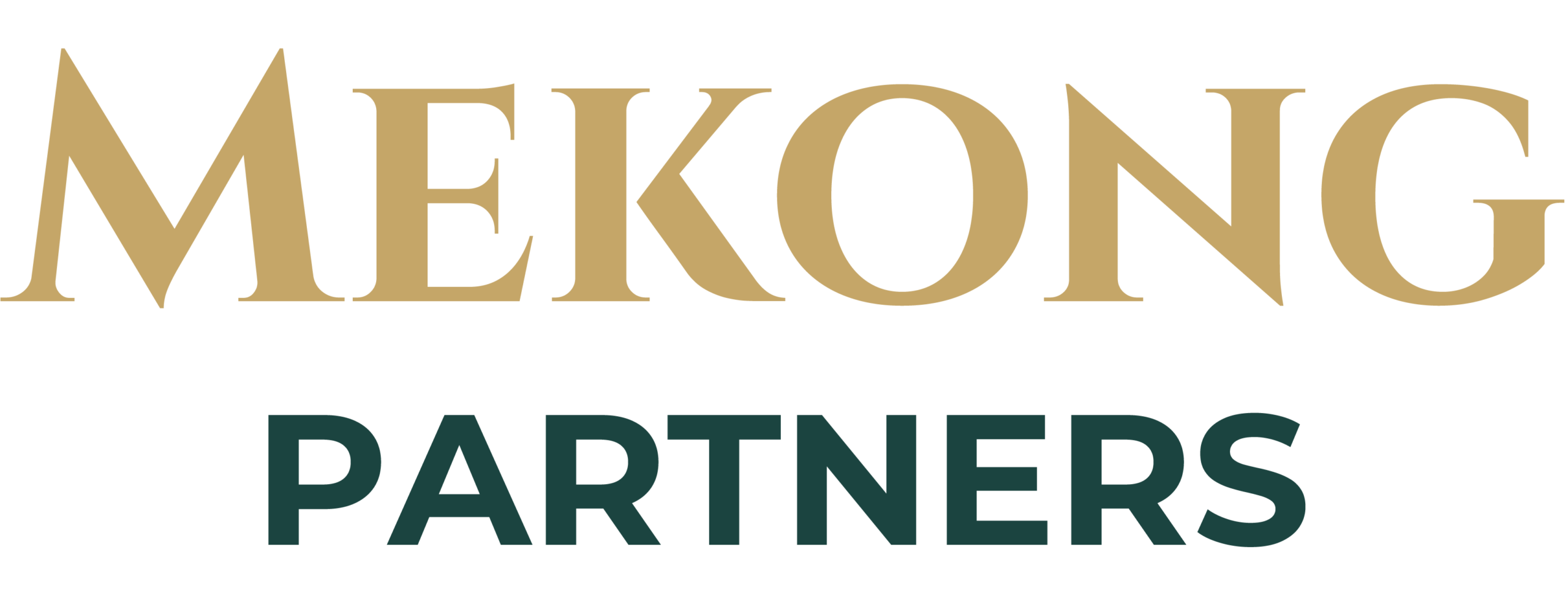 Mekong Partners