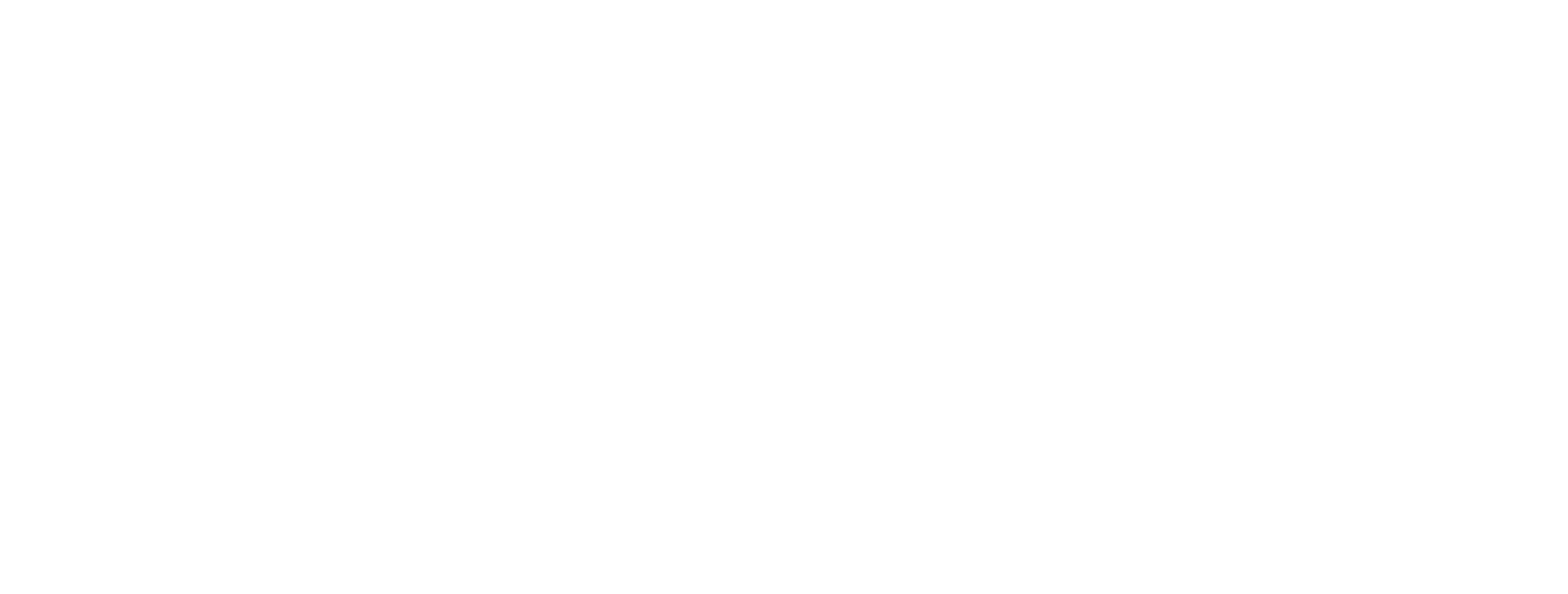 Mekong Partners
